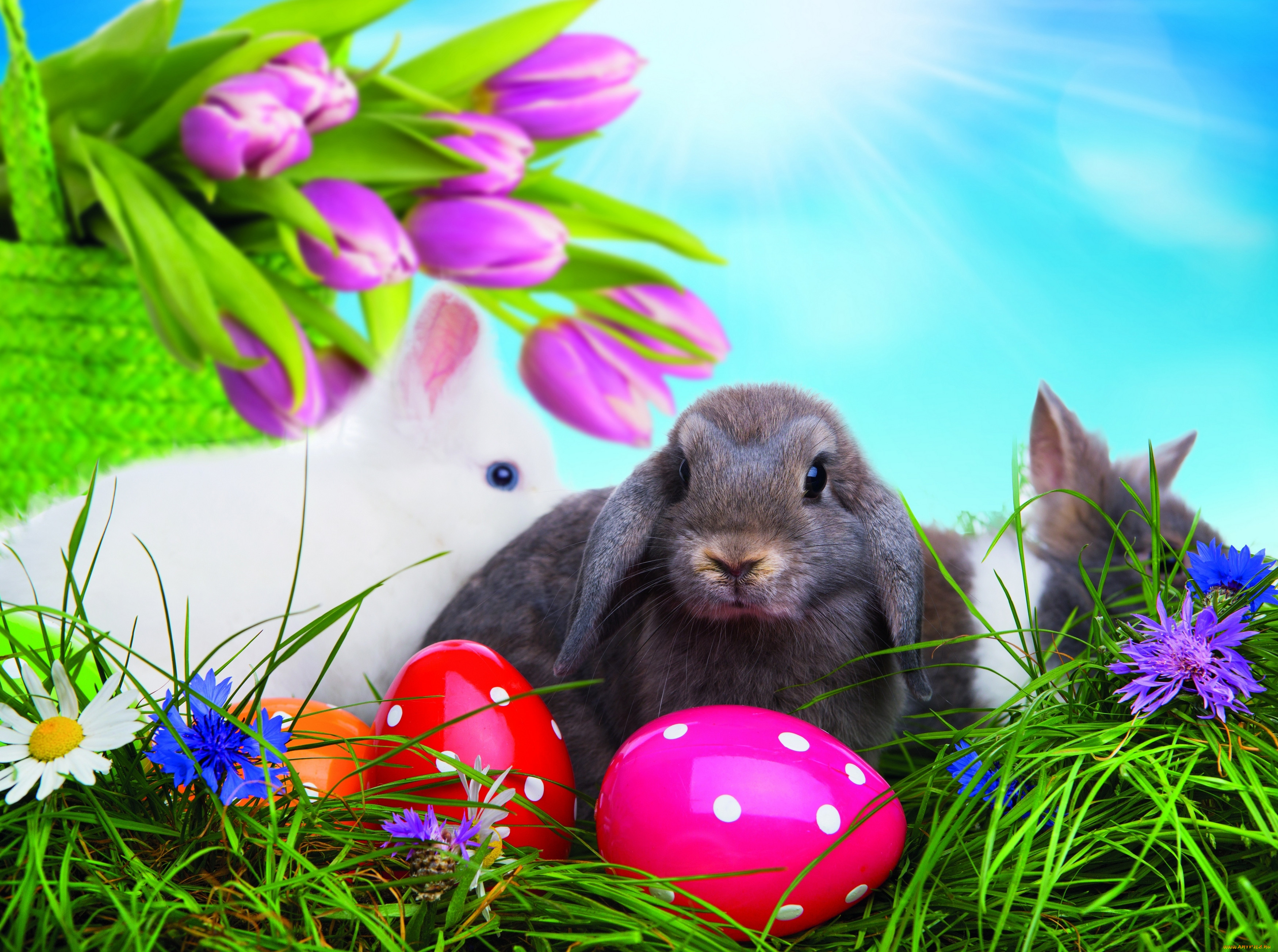 , ,  , , , , easter, happy